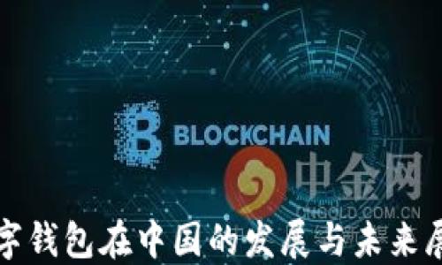 
数字钱包在中国的发展与未来展望