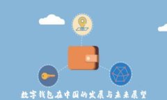 数字钱包在中国的发展与