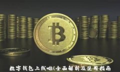 数字钱包上线啦！全面解析及使用指南