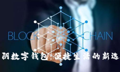 江阴数字钱包：便捷生活的新选择