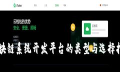 区块链系统开发平台的类型与选择指南