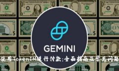 如何使用TokenIM进行付款：
