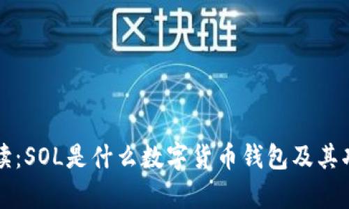 深入解读：SOL是什么数字货币钱包及其功能解析