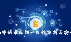 Tokenim中的币私钥一致性分析与安全性探讨