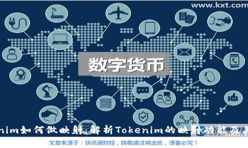 Tokenim如何做映射：解析Tokenim的映射功能及其应用