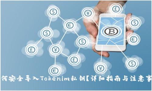 如何安全导入Tokenim私钥？详细指南与注意事项