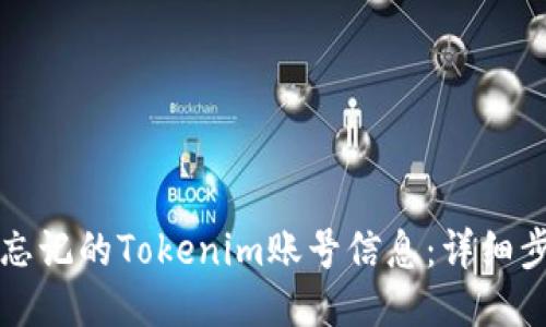 如何找回忘记的Tokenim账号信息：详细步骤与指南