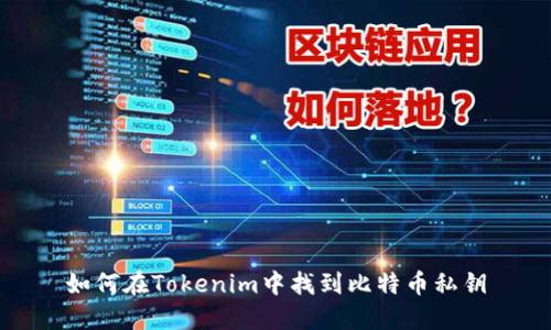 如何在Tokenim中找到比特币私钥