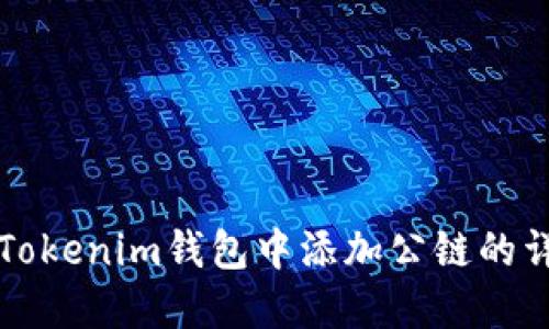 如何在Tokenim钱包中添加公链的详细指南