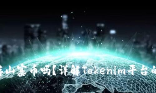 Tokenim能存山寨币吗？详解Tokenim平台的功能与特性
