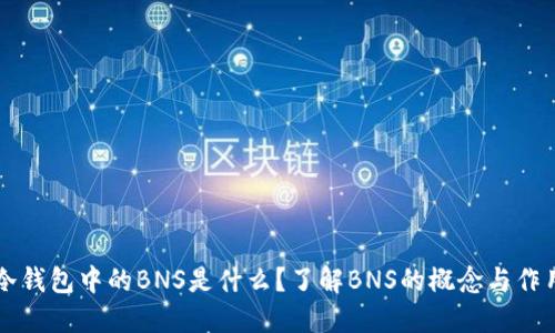 冷钱包中的BNS是什么？了解BNS的概念与作用