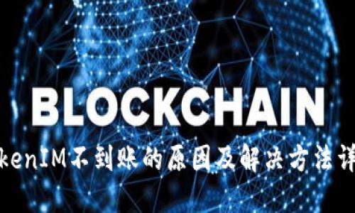 TokenIM不到账的原因及解决方法详解